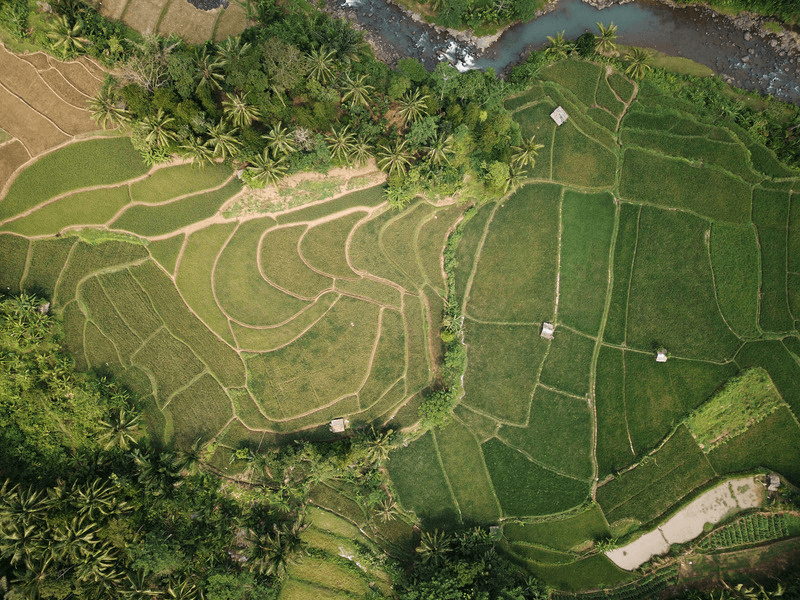 Fields running through the belt