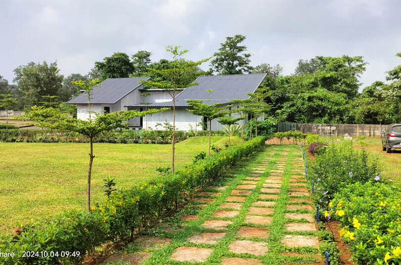 Home on a plot in the layout